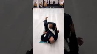 JIU JITSU  Armlock dentro do triângulo  Uma posição  Professor MÃO DE BROCA jiujitsu [upl. by Maroj]