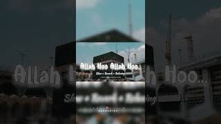 Naat Allah Ho Allah Hoo Allah [upl. by Dinin762]