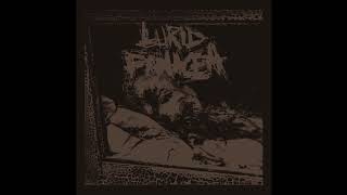 Lurid Panacea  Demo 2018 Full Demo Deathgrind [upl. by Pall29]