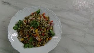 Sprouted Green Gram Salad  Delicious Moong Dal Salad  Salad Recipes by Healthy Food Kitchen [upl. by Yrgoerg747]