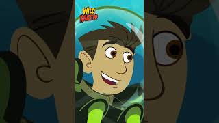 Learning Walrus Flipper Propeller Power  Happy Holidays  Wild Kratts [upl. by Lleihsad451]