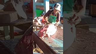 Big Tuna Cutting by Uncle Bahar [upl. by Dacie]