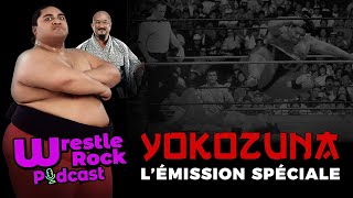 Émission Spéciale Yokozuna [upl. by Azil]