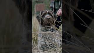 Stories  Boots through Grass Brucefield Fleece Shacket [upl. by Fergus875]