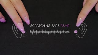 ASMR Scratching Ears amp Jewels Eardrum 귀와 고막 만지기 No Talking [upl. by Zat129]