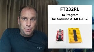 How to connect a FT232RL programmer to the Arduino ATMEGA328 for uploading sketches [upl. by Llebiram845]