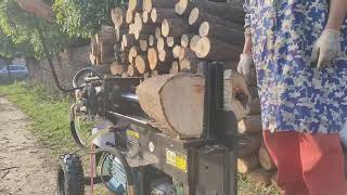 Firewood Splitter 25ton Wood cutting machine horizontal [upl. by Lucian]