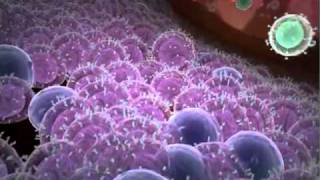 Immune response to cancer cells AWESOME [upl. by Getraer]