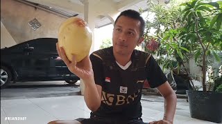 🔴 Review Rasa Markisa Jumbo Gimana Rasanya [upl. by Gerger646]