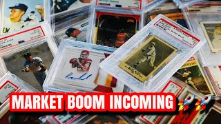 Sports Card Market Winter BOOM Incoming 50 Gains [upl. by Aihcsrop]