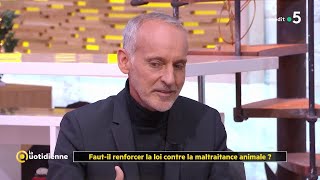 Fautil renforcer la loi contre la maltraitance animale   La Quotidienne [upl. by Rawdin97]