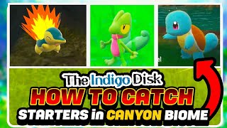 How To Unlock Starter Pokemon amp Canyon Starter Location Guide  Pokemon Indigo Disk DLC [upl. by Weisbart14]