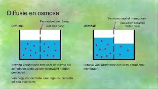 Endocytose exocytose diffusie osmose actief en passief transport  Transport in en uit cellen [upl. by Tigdirb]