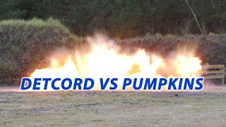 120ft of Detcord vs Pumpkins at Epic Shoot 2021 [upl. by Wurtz]