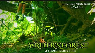 writers forest a short nature film song Yaelokre [upl. by Abihsat]