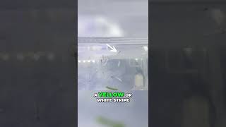 Raising Spanish Ribbed Newt Larvae [upl. by Bendick40]