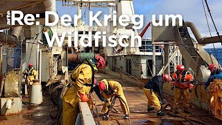 Auf einem Trawler vor den FäröerInseln  ARTE Re Reupload [upl. by Palgrave]