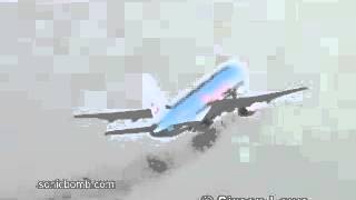 757 airplane bird strike engine failure [upl. by Hamforrd353]