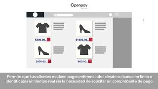 13 SPEI con Cliente Openpay [upl. by Ainessej]