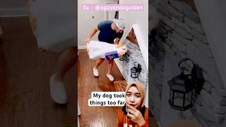 Ngerjain dogie dog funny comedy dubbing dubber dubbinglucu [upl. by Athalia972]