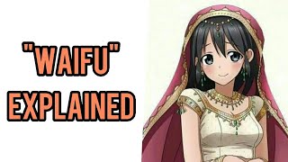 quotWAIFUquot EXPLAINED IN HINDI [upl. by Aitnuahs]