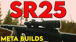 SR25  Meta Build Series 015 [upl. by Azile527]