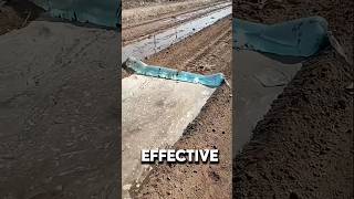 Incredible Method of Water Irrigation shorts [upl. by Torp116]