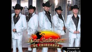 Los Salvajes de Chihuahua Las 4 Primaveras [upl. by Cheslie]