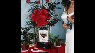 grupo bryndis poemas rosas tristes mixmp4 [upl. by Arrak]