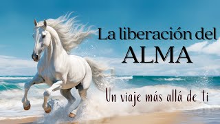 La liberación del ALMA 💫 Michael A Singer  Audiolibro [upl. by Mishaan]