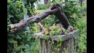 quotGartenrundgangquot Blick in einen fremden Garten  Bärbels Wohn amp Deko Ideen [upl. by Ahsiloc93]