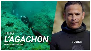 La technique de lagachon en pêche sousmarine [upl. by Sanjiv268]