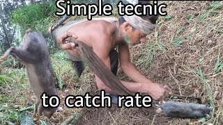 Simple tecnic to catch rat simple rat [upl. by Amedeo344]