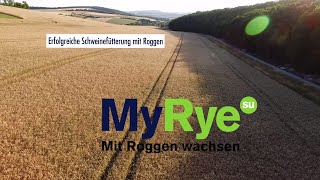 SaatenUnion MyRye – Mit Roggen wachsen  Infotrailer [upl. by Nosreh]