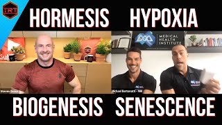 Hormesis Hypoxia Mitochondrial Biogenesis and Cellular Senescence [upl. by Cocks]