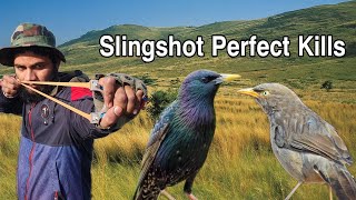 Slingshot Hunting Perfect Kills [upl. by Eatnuhs]