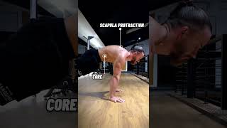 How To Do Planche PushUp  Mistake [upl. by Tanner542]