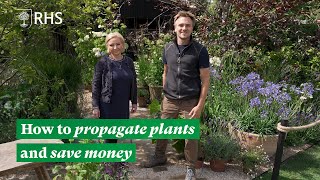 How to propagate plants and save money  The RHS [upl. by Minta]