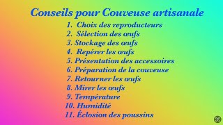 Conseils pour réussir des poussins en couveuse maison [upl. by Lecrad46]