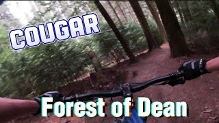 Cougar double black trail forest of dean [upl. by Ainoda]