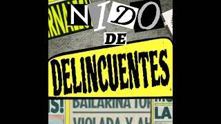 Nido De Delincuentes 13 De Agosto 2024 [upl. by Boothman]