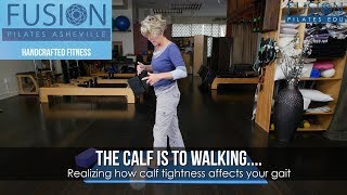 The Calf is to Walking Realizing how calf tightness affects your gait [upl. by Mclain]