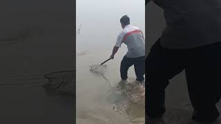 tarbela Dam new update fishing2024 🎣🐟 fish beautiful point [upl. by Cirde592]