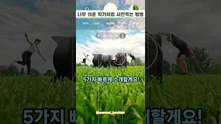 무조건 저장각 놀러가서 재미있는 사진찍는 쉬운방법 잠깐봐 [upl. by Melodee]