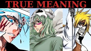 The True Meaning Of Bleachs Arrancar shortscompilation bleachanime anime [upl. by Ancell515]