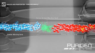 Ionic® Purification System – Simple Chargebased DNA and RNA Extraction [upl. by Serrano326]