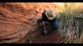 127 HOURS Featurette Outdoors Expert Breck Crystal [upl. by Livingstone919]