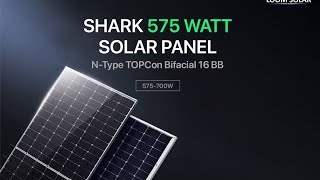 loom solar shark 575 वाट 16 panel 75HP मोटर के साथ 24 इंच आटा चक्की किस्तों पर लगवाये सोलर [upl. by Chubb]