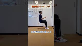 【筋トレ】座ったまま簡単にできる腸腰筋トレーニング！ トレーニング [upl. by Auohs826]