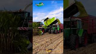 É US GURI PAI 🚜🇧🇷 shorts zonarural agrobrasil agricultura edits [upl. by Linn]